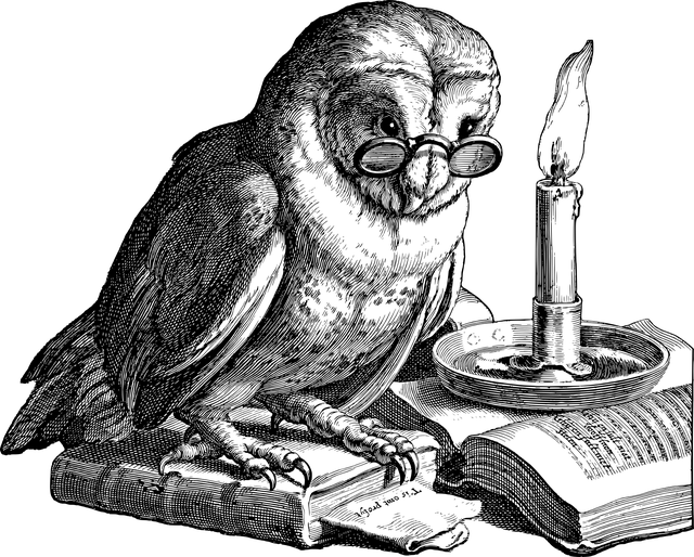 Image par Gordon Johnson de Pixabay