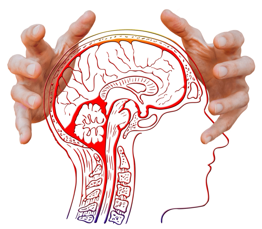 Image par Gerd Altmann de Pixabay