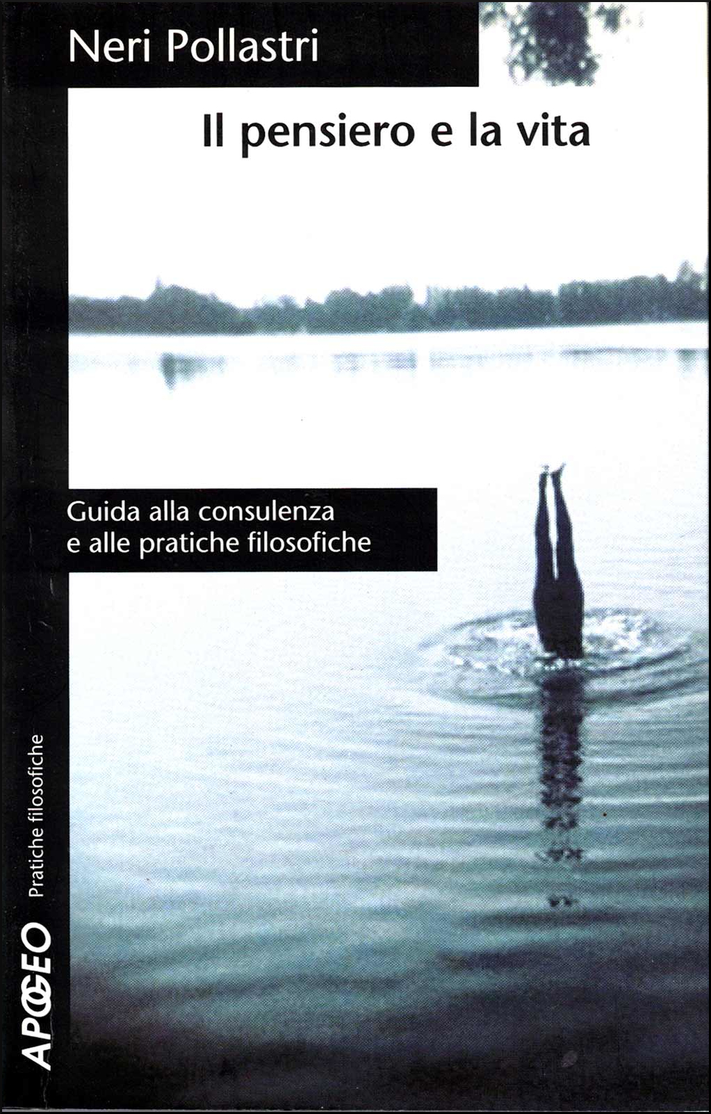 Pollastri, N. (2004). Il pensiero e la vita. Guida alla consulenza e alle pratiche filosofiche. Apogeo.